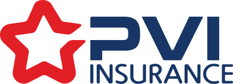 PVI Logo