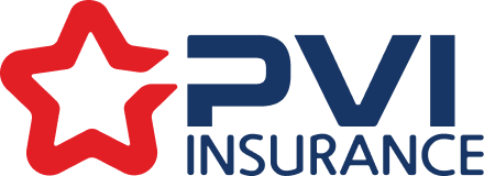 PVI Logo